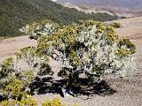 J Tongariro 067